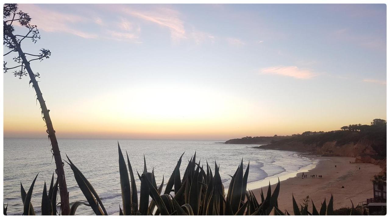 Sunset Villa By Laranjal Rentals Olhos de Agua  Luaran gambar